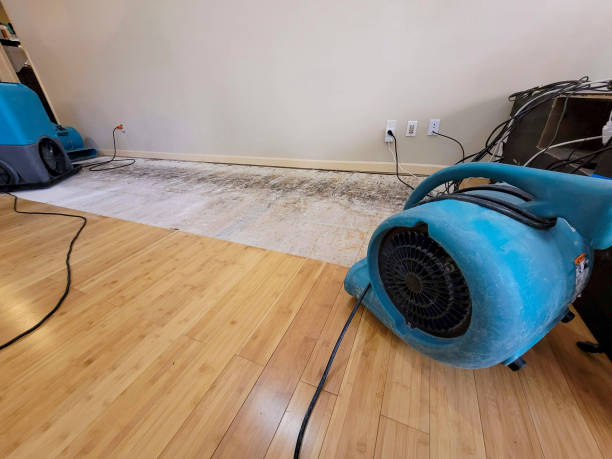 Reliable Basement Flood Cleanup contractor in Sullivan, IL by Hirex Water Damage