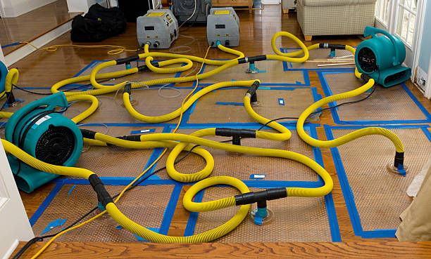 Professional Basement Flood Cleanup technician working in Sullivan, IL